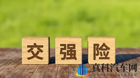 打扑克剧烈运动网站：扑克游戏竞技平台，享受刺激运动乐趣-3