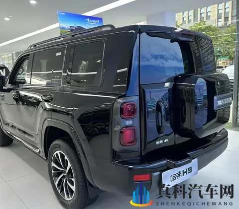 哈弗H9全解析:低配务实派vs高配全能手,谁才是终极答案?-1