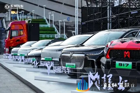 路上不认识的车标,是大厂换马甲-3