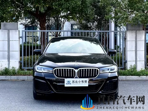 黑料在线:新能源汽车崛起,未来出行新趋势-2