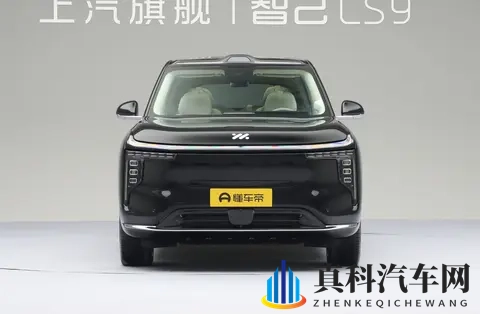 智己LS9登场，能抢到高端SUV市场的蛋糕吗-3