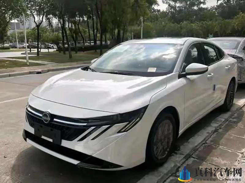 无套猛桩上海体育生：都市驾驶新风尚，体育生诠释速度激情-1