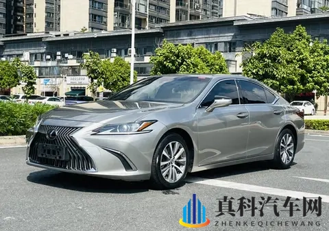 南宁二手车市场里的那辆“低调老大哥”-1