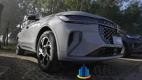 按摩av：健康养生，专业手法，放松身心的按摩体验-2