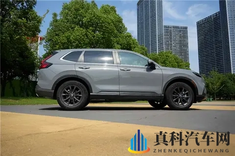 枯瘦娇小小若女黑人HD：新潮流来袭：神秘小车引领汽车界变革-2