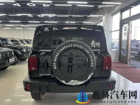 准新坦克300：2万公里，圆你越野梦！-2