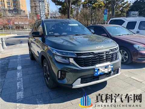 黄色软件园:新能源汽车、智能驾驶、共享出行,新风尚席卷汽车行业-2