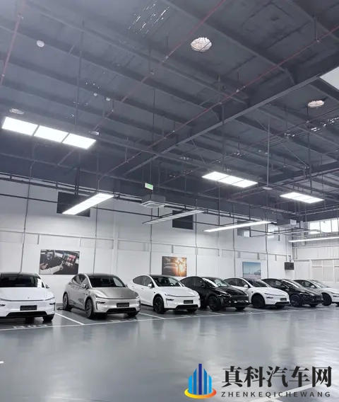 Model Y，黑白当道，未来会怎样-1