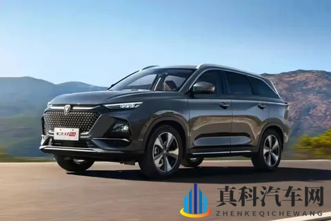 低价七座车盘点，价格不高，配置全面 过年回家全家都有座-3