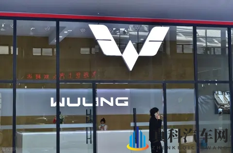 宏光 MINIEV 卖疯了,网友说:这是消费降级了,真的是这样吗?-1