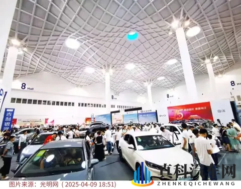 从全免到减半：购置税调整下的新能源车变局-3