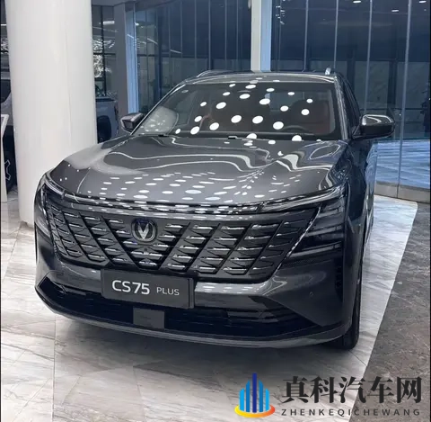国人最爱买的10款SUV!第一名是?-3
