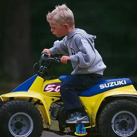 F1人物传：围场里最疯狂的人——马克斯·维斯塔潘-2