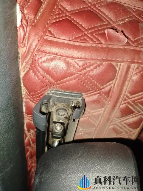 国产成人影视：新车型亮相，国产汽车再创新高-1