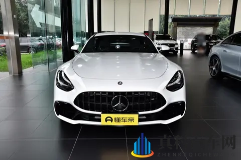 奔驰AMG-GT这一年:销量跌进冰窟窿 动力玩起猫腻戏-1