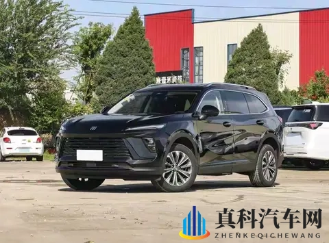 性直播:网络直播中的私密内容展示-2