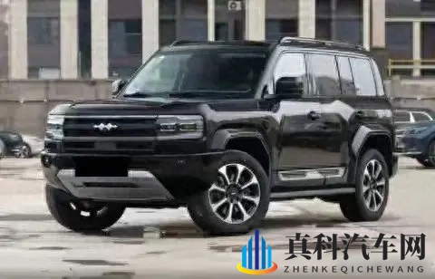 变天了!2025年第三季度硬派越野车销量榜:坦克300丢冠,豹8第9-1