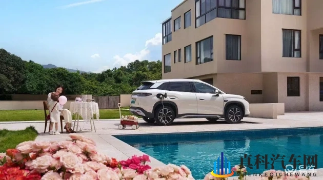 女人和公豬内谢:性别差异引发争议,谢幕背后隐情揭秘-1