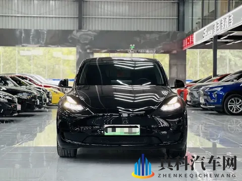 17万不到拿下特斯拉Model Y，体验未来科技出行！-1