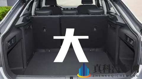 第213期：到底是谁在买斯柯达速派？-3