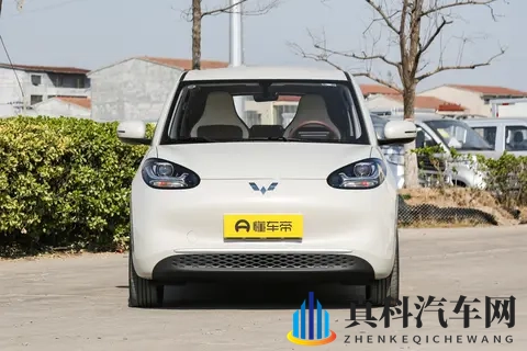 5-8 万选纯电代步车？五菱缤果 2025 款怎样选不踩坑？-1