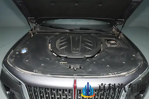 99热热这里只精品：精选汇聚，99热热独领风骚-1