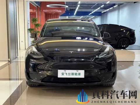 15万多开走“省钱王”！二手特斯拉Model Y代步通勤怎么样？-1