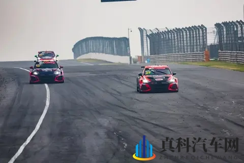 全国最大成人网：中国规模最大成人门户网站-2