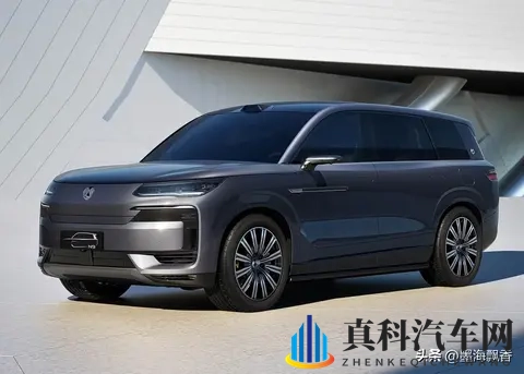 新能源豪赌：汽车强推背后的能源安全考量-2