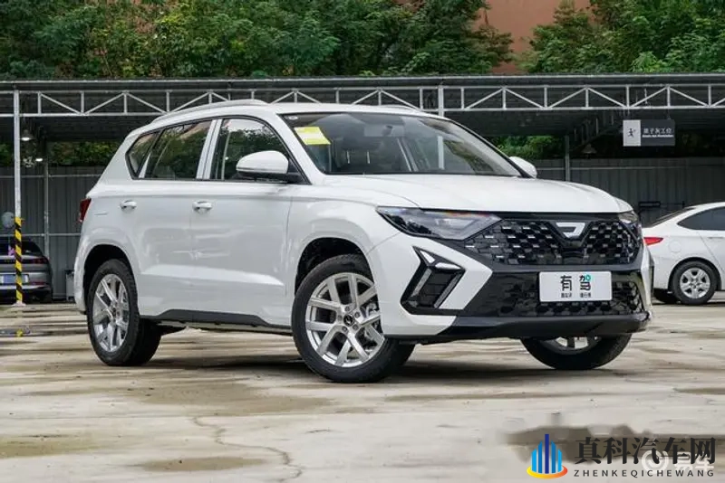 亚洲区一区二:东方地域划分,第一部分与第二部分-1