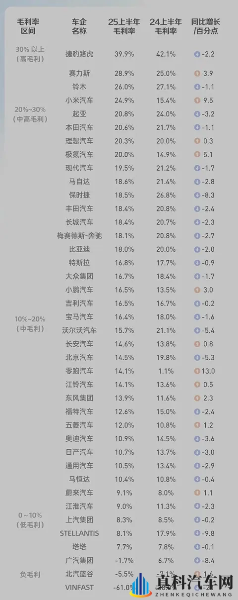 毛利率之争白热化：谁将赢得未来市场的入场券？​-1