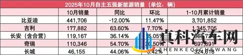 自主5强10月销量：吉利破30万，长城涨超20%，比亚迪第一但下滑-1