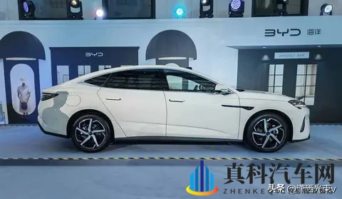 打扑克做运动:棋牌游戏乐动身心,休闲娱乐两不误-1