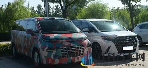 拔萝卜不盖被子:萝卜出土暖阳照,无需担心被覆遮-3