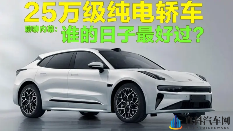 聊聊内幕：25万级纯电轿车，谁的日子最好过？-1