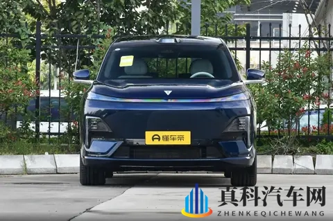 深蓝 S09 vs 腾势 N9！家庭 SUV “六边形战士” 花落谁家？-3