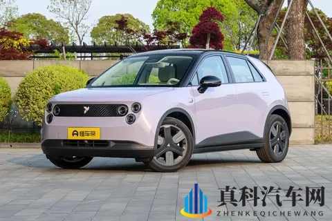 蔚来萤火虫新车型亮相:高功率电机升级,续航420公里-1