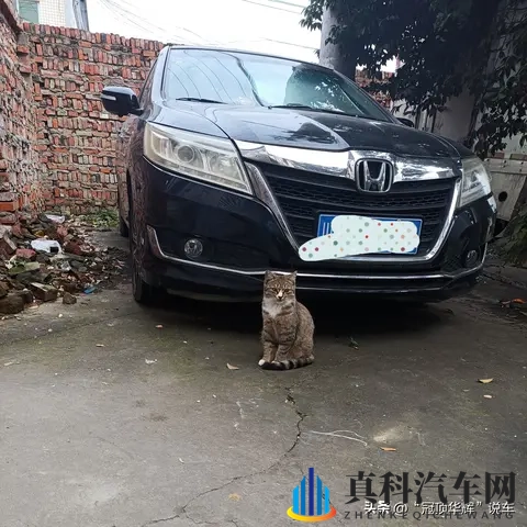 韩系车在中国卖不动了，全球却年销723万，这矛盾太真实-1