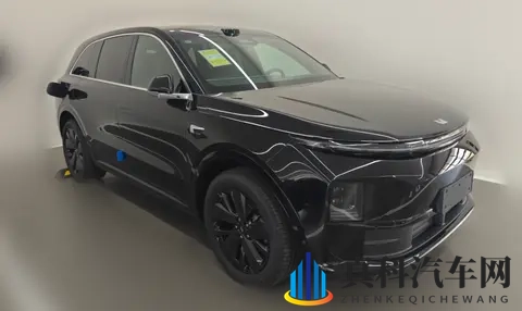 理想L6:男女老少通吃,客户共同点是没有6座需求-3