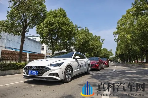 av吃瓜：娱乐圈八卦，AV内容揭秘探秘-2