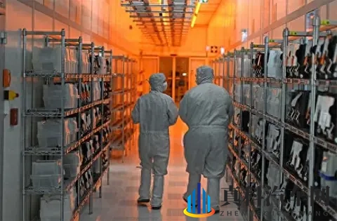 荷兰闯祸！全世界跟着买单-1