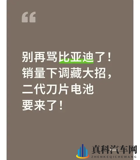 别再骂比亚迪了！销量下调藏大招，二代刀片电池要来了！-1