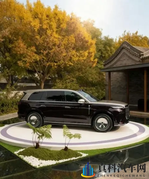 天天插天天干天天操:每日耕耘,持续劳作,不懈努力-2