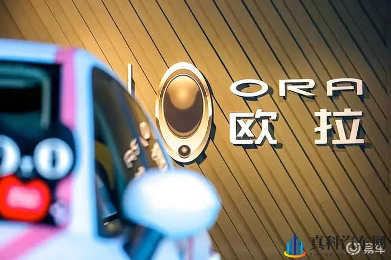 靠欧拉5这款纯电SUV,长城欧拉能不能翻盘?-1