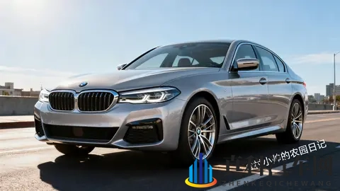 “富豪梦”提前实现？-1