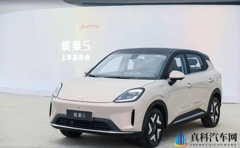 五菱缤果 S 上市,6.38万起重塑A0级纯电品质标杆-1