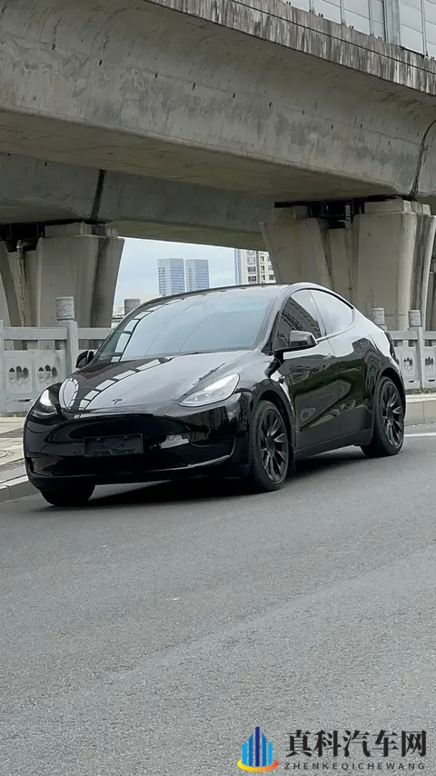 17万多拿下特斯拉Model Y，代步家用真香？-3