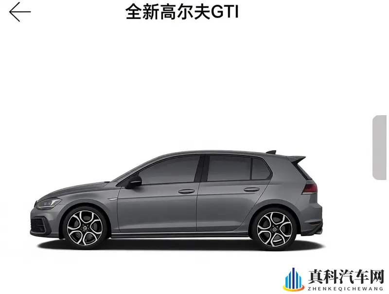 欧美男同高大:西方男性伴侣,身材挺拔魁梧-3