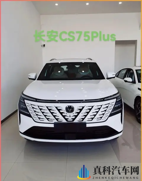 6款即将上市的”，中年大叔的“心头好”，看看有没有你喜欢的？-1