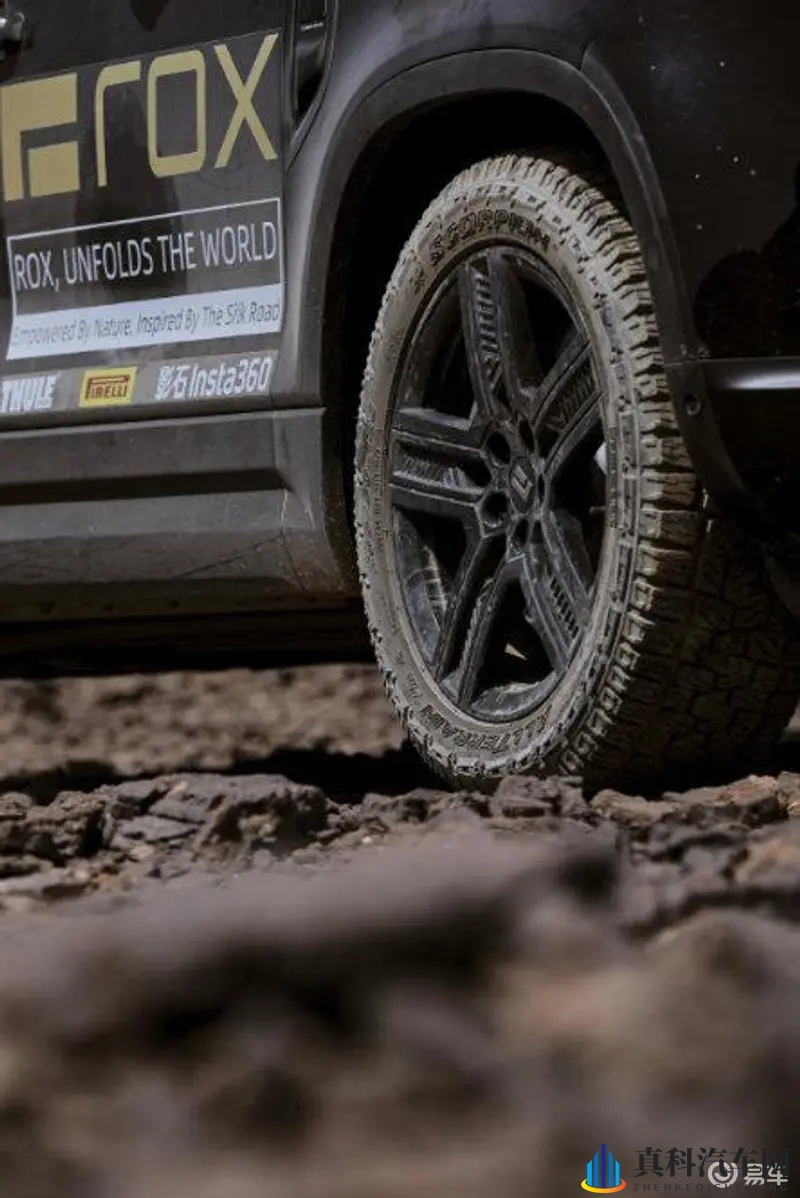 黄色软件入口:成人内容平台通道-2